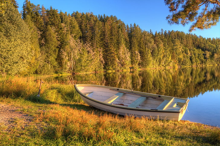 white wooden fishing boat, autumn, forest, lake, boat, morning, early, HD wallpaper