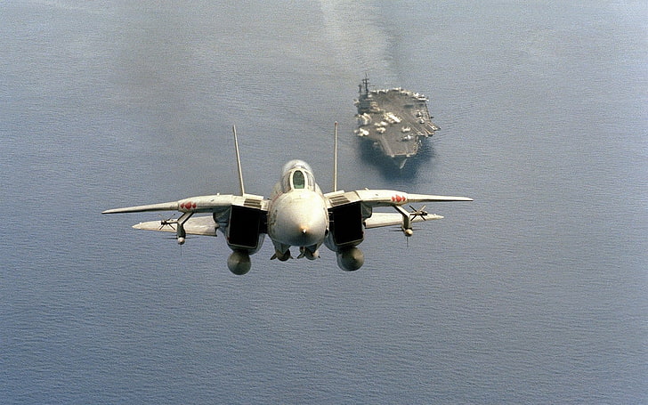 المقاتلات النفاثة ، Grumman F-14 Tomcat، خلفية HD