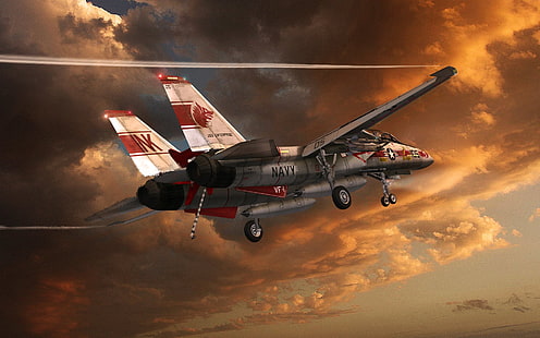제트 전투기, Grumman F-14 Tomcat, HD 배경 화면 HD wallpaper