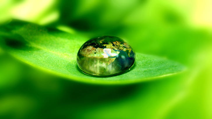 Green Earth World Leaf Macro Water Water Drop Bead HD, green floral water drop, nature, macro, earth, green, water, world, leaf, drop, bead, HD wallpaper