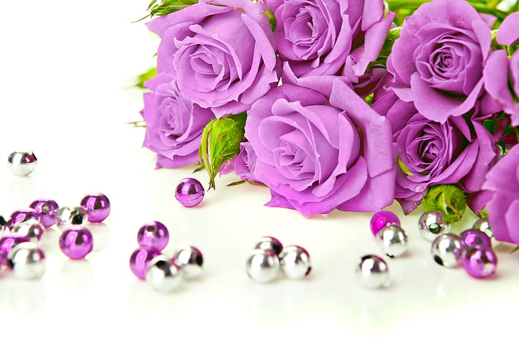 Flores, rosas, violeta, Fondo de pantalla HD | Wallpaperbetter