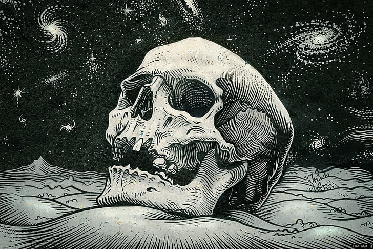 Skull, Artwork, skull, artwork, HD wallpaper