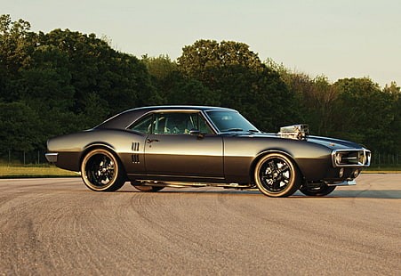 класическо черно купе, мускулни коли, 1969 г. Pontiac Firebird, автомобил, HD тапет HD wallpaper