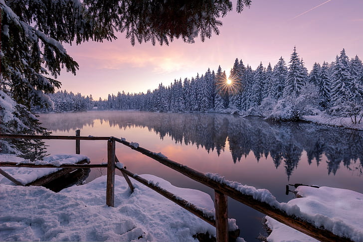 winter, forest, lake, HD wallpaper