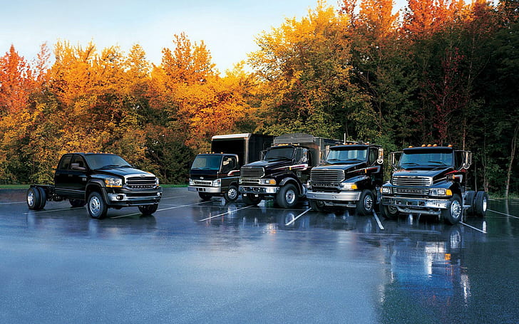 Truk Sterling Mobil, mobil, truk, truk sterling, Wallpaper HD