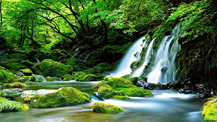 صخور نهر الشلال الأخضر مغطاة بورق جدران شلال غابة الطحلب الأخضر عالية الدقة 3840 × 2160، خلفية HD
