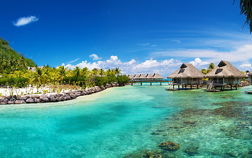Летний тропический пляж, соломенные бунгало, пальмово-чистая вода, Nui Resort Bora Bora, южная часть Тихого океана Обои HD 2880 × 1800, HD обои HD wallpaper