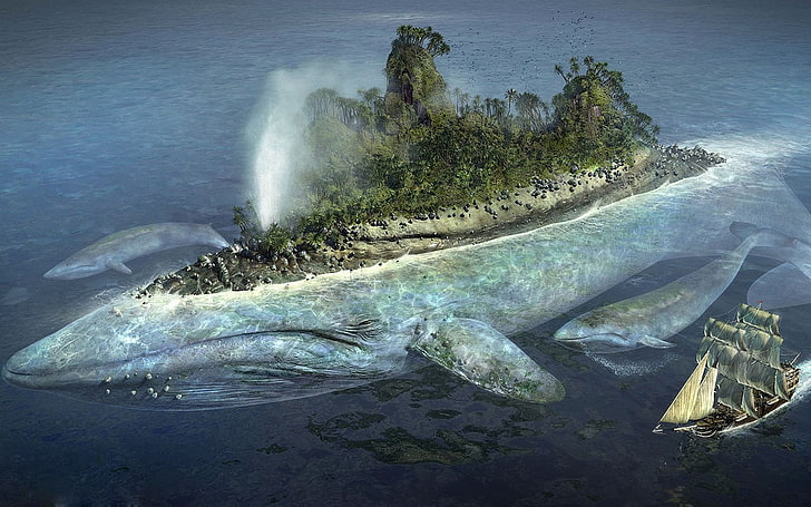 plan d'eau, baleine, Fond d'écran HD