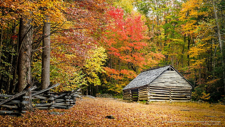 Folhagem de outono, Parque Nacional Great Smoky Mountain, Tennessee, Outono, HD papel de parede