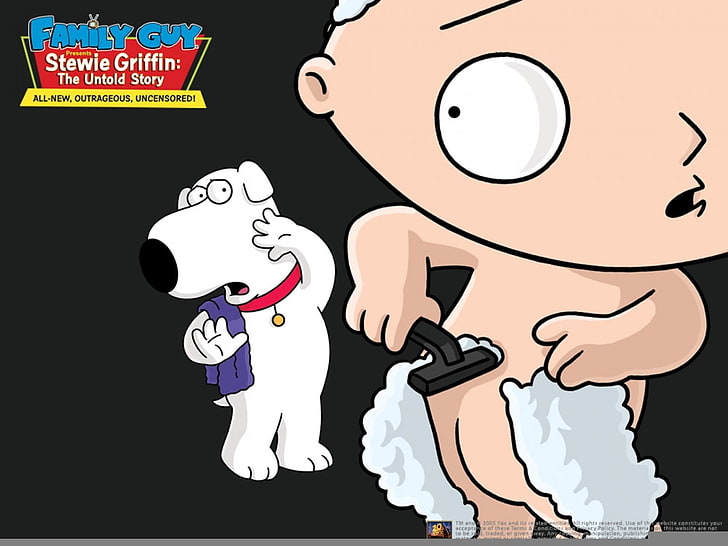 Family Guy illustration, TV Show, Family Guy, Brian Griffin, Stewie Griffin, HD wallpaper