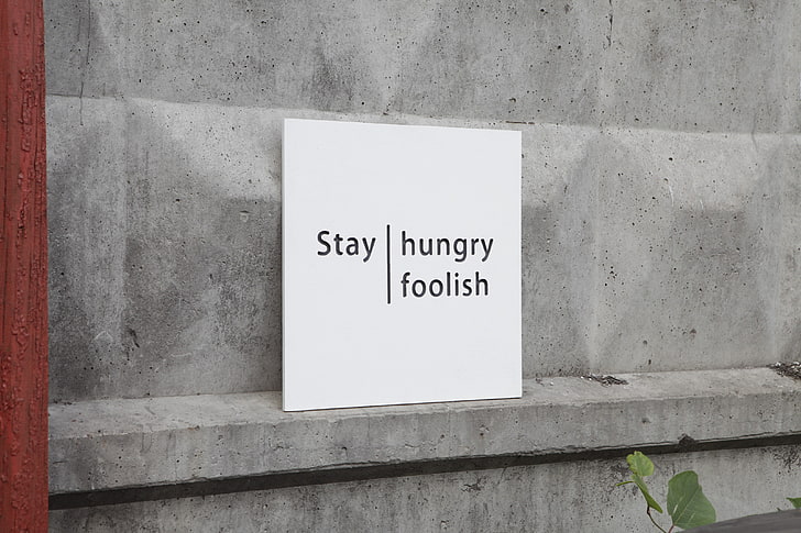 minimalismo, citação, Steve Jobs, HD papel de parede