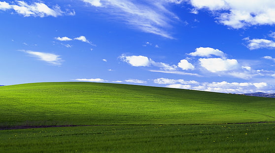 Windows XP Original, grönt gräs fält digital bakgrund, Windows, Windows Vista, HD tapet HD wallpaper