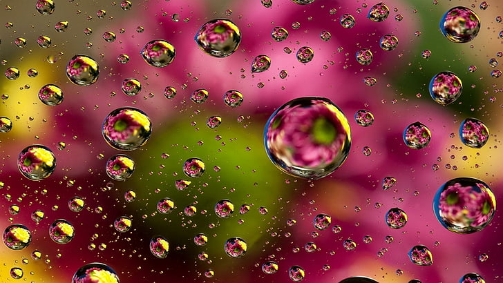 drop, water drops, macro photography, water, close up, colorful, magenta, circle, liquid bubble, HD wallpaper