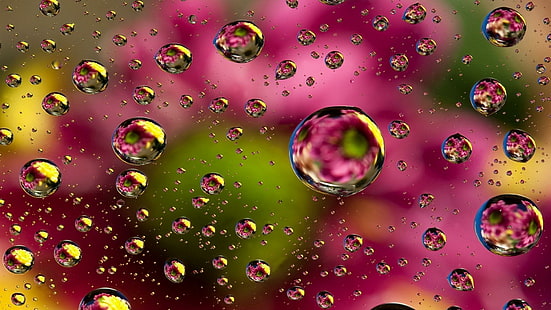 قطرة ، قطرات ماء ، تصوير ماكرو ، ماء ، قريب ، ملون ، أرجواني ، دائرة ، فقاعة سائلة، خلفية HD HD wallpaper
