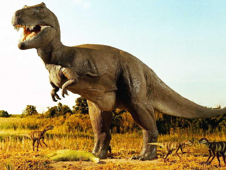Динозавр, T-rex digital wallpaper, Животные, Другое, Животное, Динозавр, HD обои