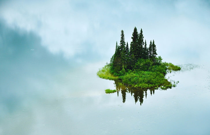 плаващ остров, природа, дървета, вода, трева, остров, отражение, облаци, HD тапет