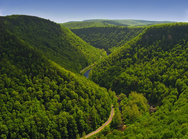 Winding, green trees, United States, Pennsylvania, Landscape, Spring, Valley, Aerial, Hiking, Tioga County, Tioga State Forest, Pine Creek Gorge, Barbour Rock, Pine Creek, West Rim Trail, Appalachian Mountains, Allegheny Plateau, Pennsylvania Wilds, bright light, HD wallpaper