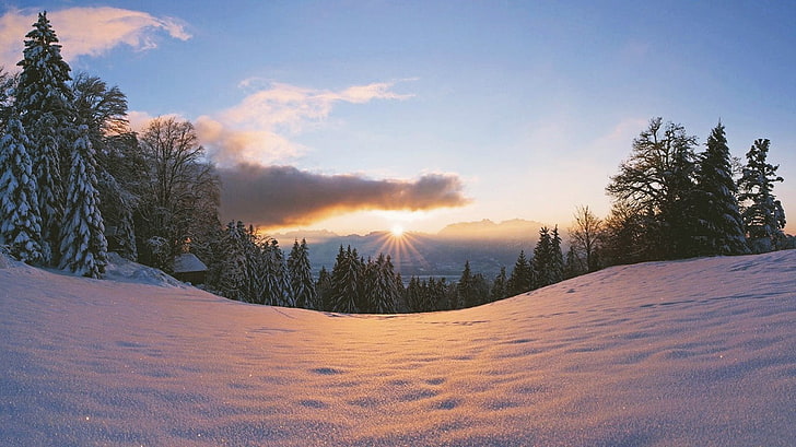 sunset, winter, snow, trees, HD wallpaper