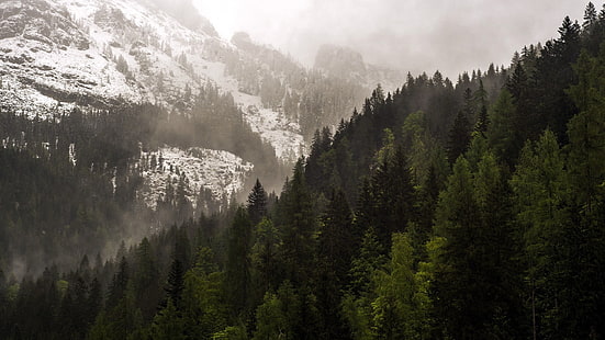 montaña cubierta de nieve cerca de pinos durante el día, naturaleza, bosque, montañas, Fondo de pantalla HD HD wallpaper
