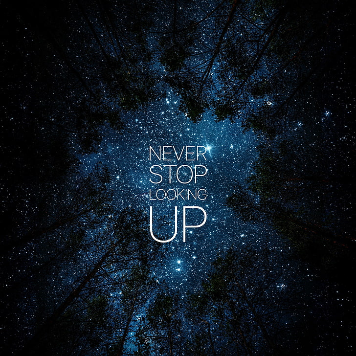 silhouette of trees with text overlay, stars, the inscription, motivator, HD wallpaper