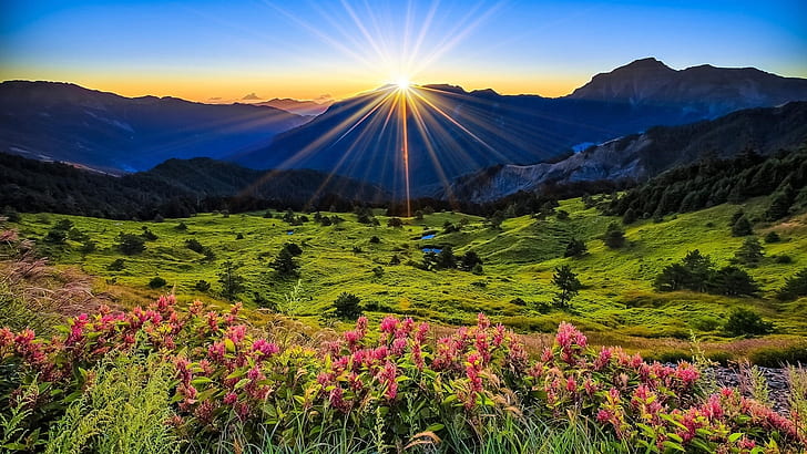Montañas, prado, amanecer, flores, hermosos paisajes, montañas, pradera, amanecer, flores, hermoso, paisaje, Fondo de pantalla HD