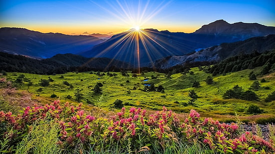 Gunung, padang rumput, matahari terbit, bunga, pemandangan indah, Pegunungan, Padang Rumput, Matahari Terbit, Bunga, Cantik, Pemandangan, Wallpaper HD HD wallpaper