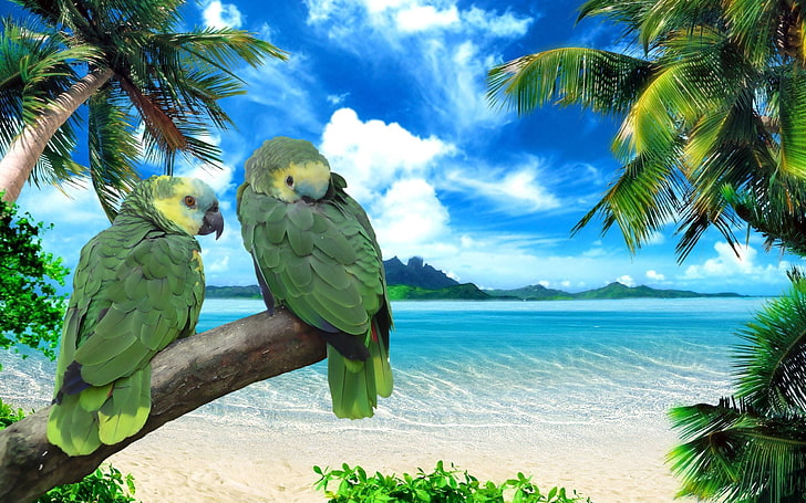 two green parrots, parrots, beach, sea, sky, summer, pair, HD wallpaper