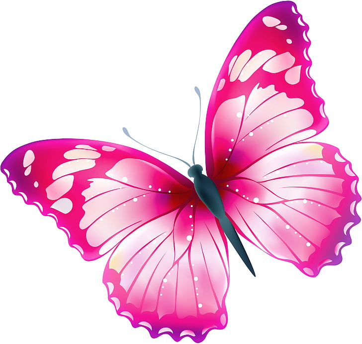 Butterfly, fluture, white, pink, card, HD wallpaper