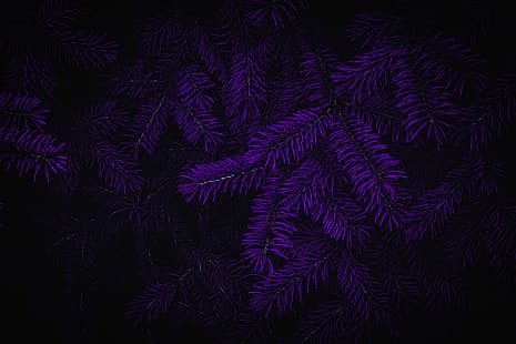  flowers, Photoshop, matte paint, purple background, dark, HD wallpaper HD wallpaper