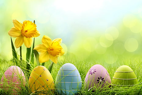 flowers, Easter, basket, spring, eggs, HD wallpaper HD wallpaper