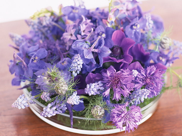 fiori viola con petali, muscari, fiordalisi, fiori, porpora, composizione, primo piano, Sfondo HD
