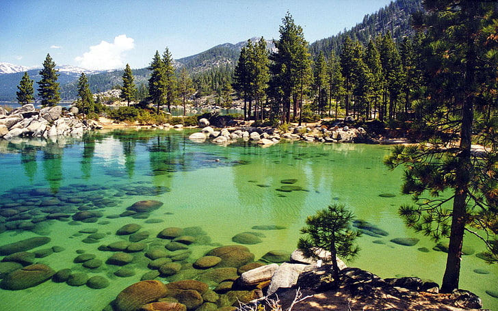 Lake Stones Mountain Forest Tahoe California, HD wallpaper