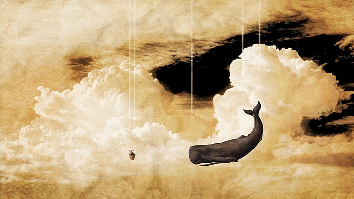 nuvens, imaginação, céu, baleia guia para a galáxia, baleia, HD papel de parede