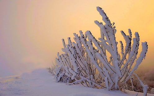 Najpiękniejszy zimowy krajobraz HD tapety 14, Tapety HD HD wallpaper