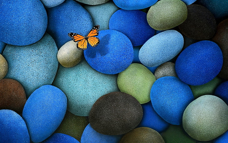 камни разного цвета, бабочка, камни, насекомое, HD обои
