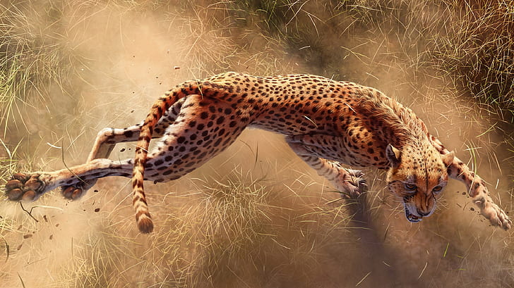 Claws, Cheetah, Africa s deadliest, Predators Of Africa, HD wallpaper