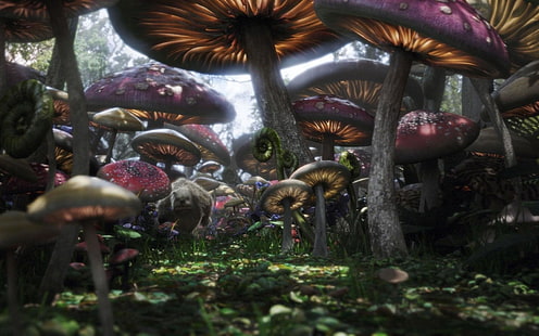 이상한 나라의 앨리스 영화 (2010), 화려한, 판타지, 숲, 마술, 버섯, HD 배경 화면 HD wallpaper