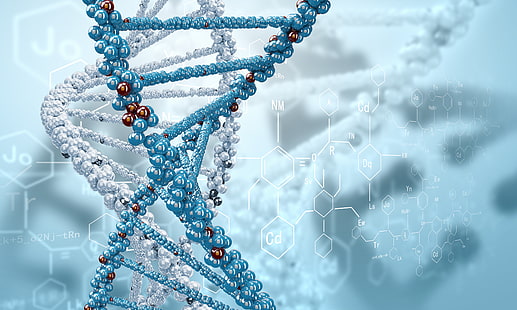 weiße und blaue Moleküle Wallpaper, Rendering, Spirale, Formel, DNA, HD-Hintergrundbild HD wallpaper