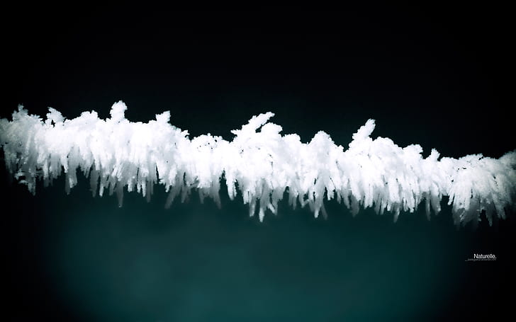 Ice Frost HD, природа, лед, слана, HD тапет