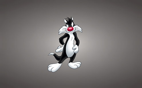 Sylvester the Cat, Sylvester, Cat, Looney Tunes, lustige Melodien, HD-Hintergrundbild HD wallpaper