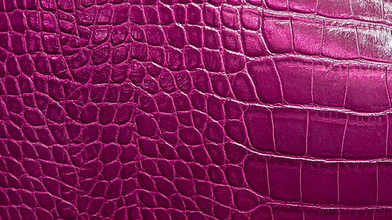 лиловая кожа аллигатора кожа, рептилия, чешуя, текстура кожи аллигатора, HD обои HD wallpaper