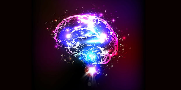 анатомия, мозг, цифровой, голова, медицинский, психоделический, череп, рентген, рентген, HD обои HD wallpaper