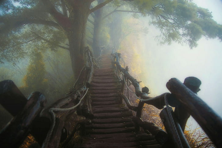 природа, пейзаж, туман, тропинка, мост, деревянная поверхность, лес, деревья, атмосфера, HD обои