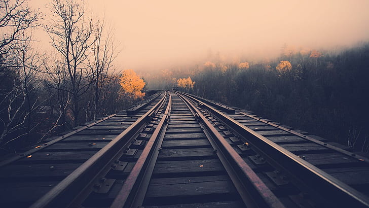 Railroad Tracks in the Autumn HD, landscapes, railroad tracks, railroads, HD wallpaper