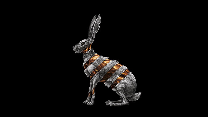 ilustração de coelho de cor dourada e cinza, coelhos, capas de álbuns, HD papel de parede