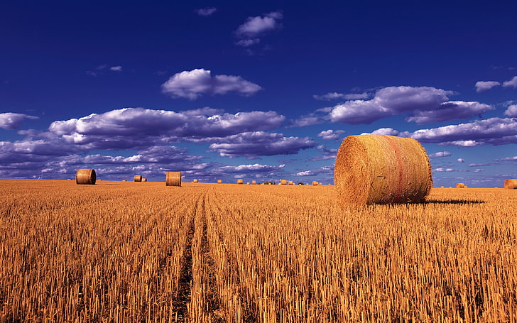 麦わらボール麦畑空ので、雲モンタナ写真風景デスクトップの壁紙Hdラップトップ携帯電話とテレビ3840×2400、 HDデスクトップの壁紙