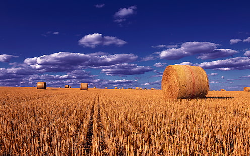 Słomiane kule Pole pszenicy niebo tak chmury Montana zdjęcie krajobraz tapeta na pulpit Hd do laptopa telefony komórkowe i telewizor 3840 × 2400, Tapety HD HD wallpaper
