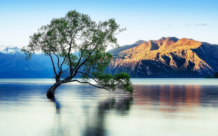 ワナカ湖の美しい反射ニュージーランドのデスクトップの壁紙、 HDデスクトップの壁紙