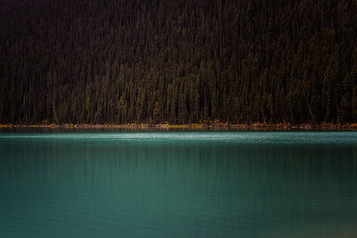 plan d'eau, montagnes, arbres, lac, eau, paysage, Fond d'écran HD