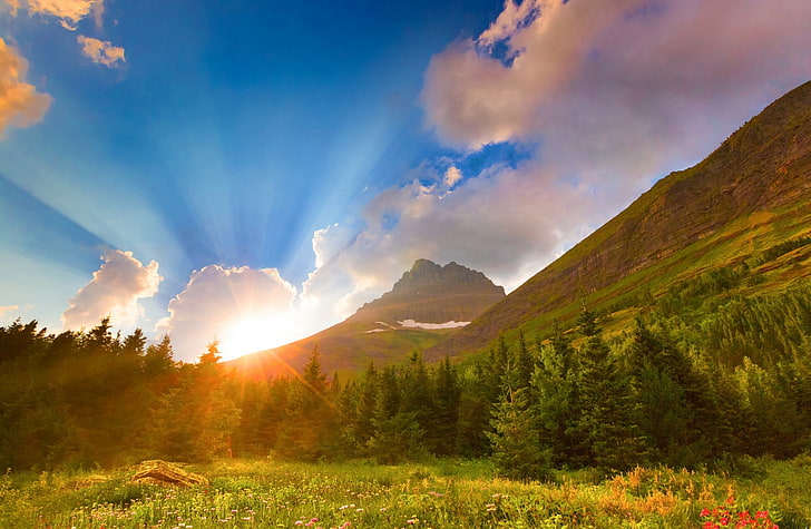 วอลล์เปเปอร์ HD ยามเช้าที่สวยงาม, ต้นสนใบสีเขียว, ธรรมชาติ, ภูเขา, วอลล์เปเปอร์ HD